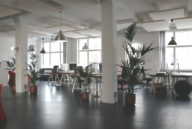 How Big Should a Start-Up Office Be?